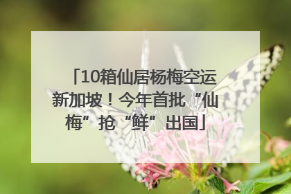 10箱仙居杨梅空运新加坡！今年首批“仙梅”抢“鲜”出国