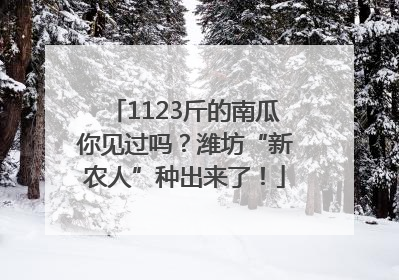 1123斤的南瓜你见过吗？潍坊“新农人”种出来了！