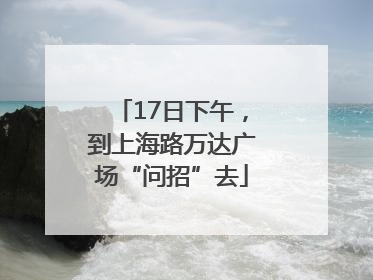 17日下午，到上海路万达广场“问招”去