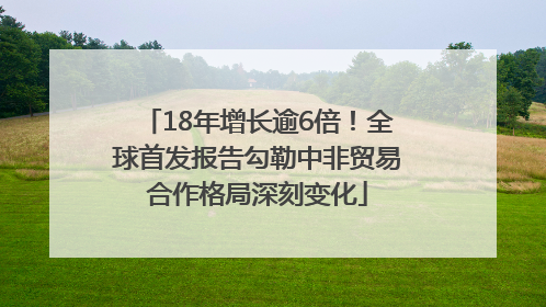 18年增长逾6倍！全球首发报告勾勒中非贸易合作格局深刻变化