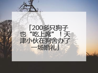 200多只狗子也“吃上席”！天津小伙在狗舍办了一场婚礼