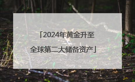 2024年黄金升至全球第二大储备资产