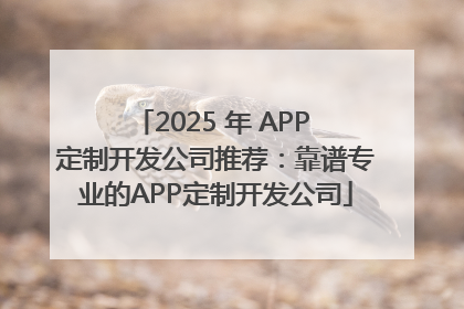 2025 年 APP 定制开发公司推荐：靠谱专业的APP定制开发公司