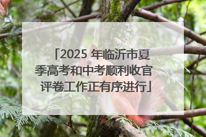 2025 年临沂市夏季高考和中考顺利收官 评卷工作正有序进行