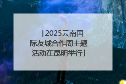 2025云南国际友城合作周主题活动在昆明举行