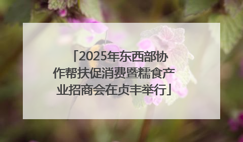 2025年东西部协作帮扶促消费暨糯食产业招商会在贞丰举行