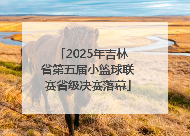 2025年吉林省第五届小篮球联赛省级决赛落幕