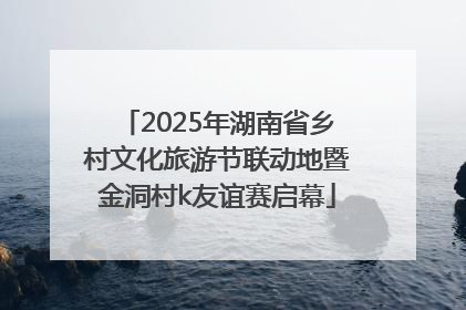 2025年湖南省乡村文化旅游节联动地暨金洞村k友谊赛启幕