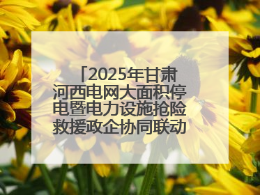 2025年甘肃河西电网大面积停电暨电力设施抢险救援政企协同联动综合应急演练在武威成功举行