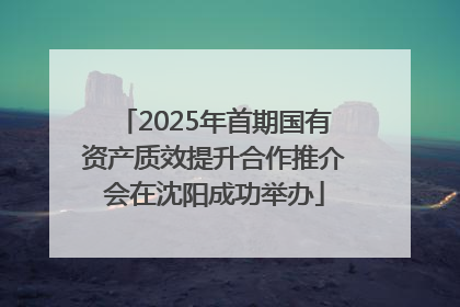 2025年首期国有资产质效提升合作推介会在沈阳成功举办
