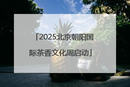 2025北京朝阳国际茶香文化周启动