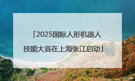 2025国际人形机器人技能大赛在上海张江启动