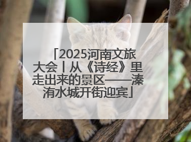 2025河南文旅大会丨从《诗经》里走出来的景区——溱洧水城开街迎宾