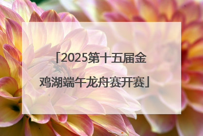 2025第十五届金鸡湖端午龙舟赛开赛