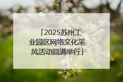 2025苏州工业园区网络文化采风活动圆满举行