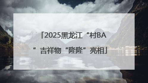 2025黑龙江“村BA”吉祥物“隆隆”亮相