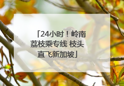 24小时！岭南荔枝乘专线 枝头直飞新加坡