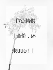 7点特供丨金价，还未见顶！