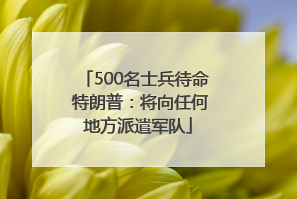 500名士兵待命 特朗普：将向任何地方派遣军队