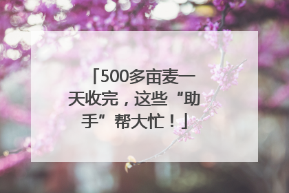 500多亩麦一天收完，这些“助手”帮大忙！