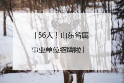 56人！山东省属事业单位招聘啦