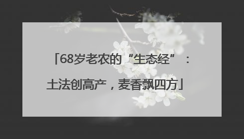 68岁老农的“生态经”：土法创高产，麦香飘四方
