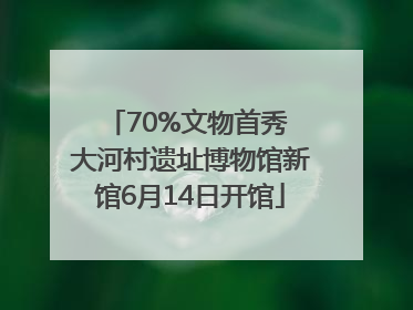 70%文物首秀 大河村遗址博物馆新馆6月14日开馆