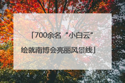 700余名“小白云”绘就南博会亮丽风景线