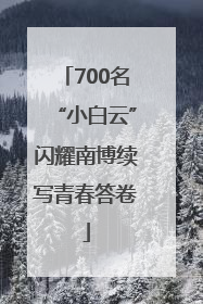 700名“小白云”闪耀南博续写青春答卷