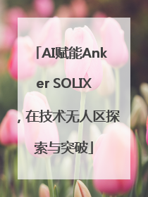 AI赋能Anker SOLIX，在技术无人区探索与突破